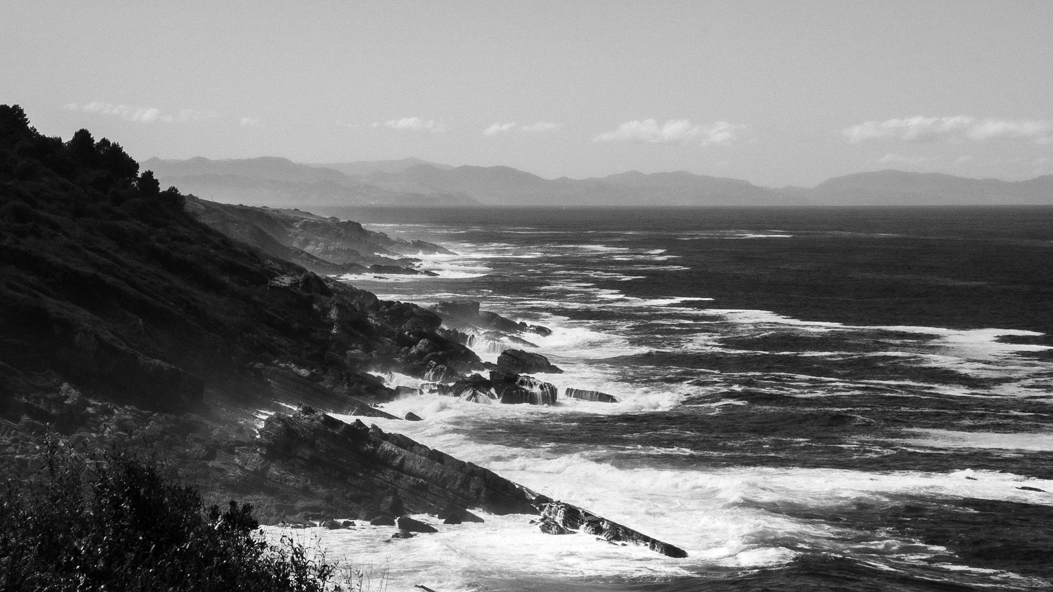 Surfeur, Pays Basque