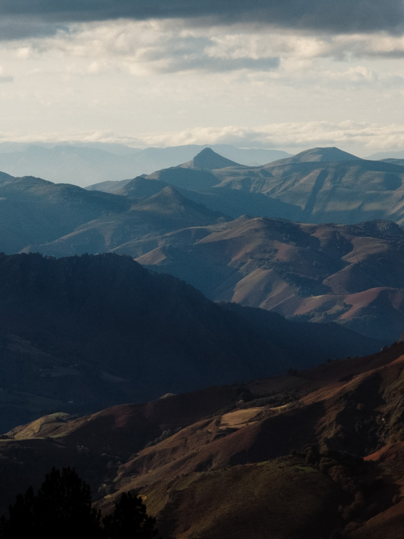 Paysage
